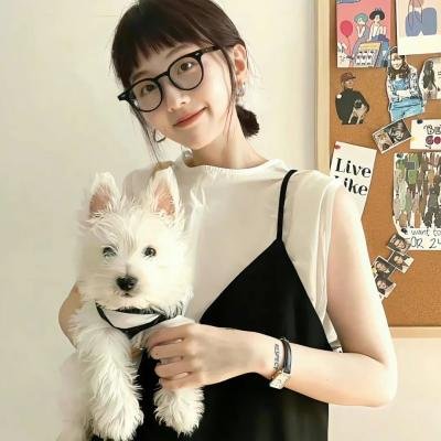 铁骑雄师 海报