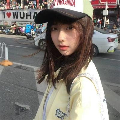 光荣之路上的狗