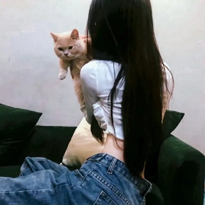 瞒天计划 海报